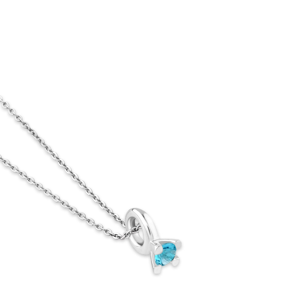 リングデザインチャーム レデイースネックレス FSP1024-LBCZ (3)