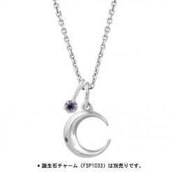 ムーン 月モチーフ シルバーメンズネックレス FSP1031-M - Free Style 
